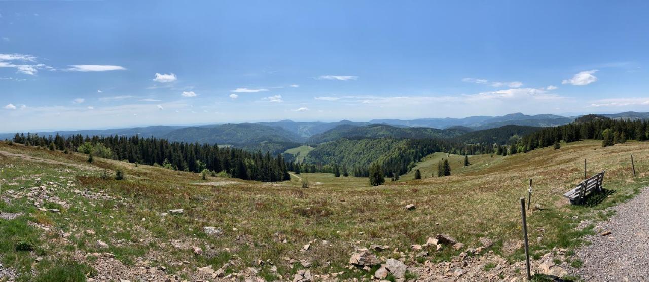 Feldberg Lounge - Residenz Grafenmatt Leilighet Eksteriør bilde